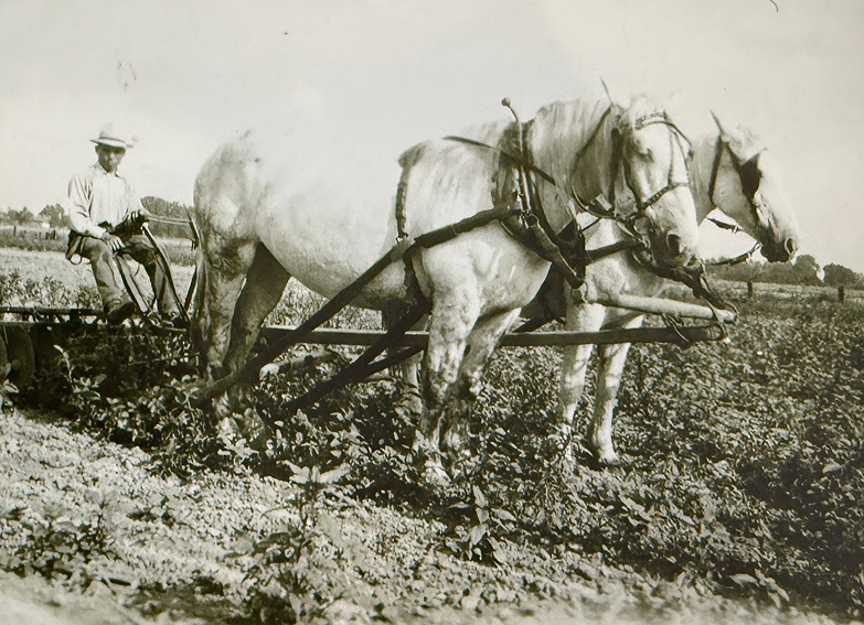 from salt lake to la